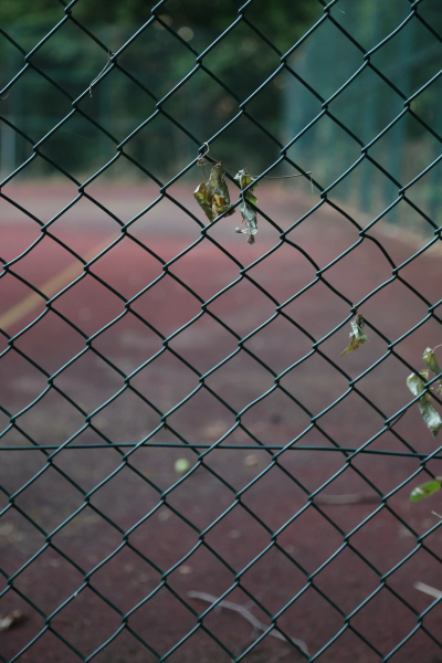 Odenwaldschule_2026